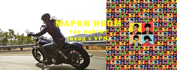 сатива Новокубанск
