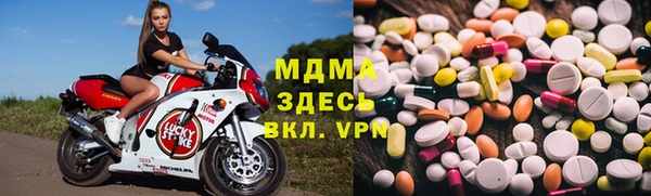 сатива Новокубанск