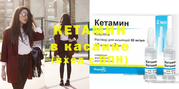 сатива Новокубанск