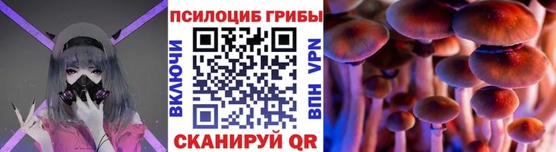 гидра зеркало  Пущино  Галлюциногенные грибы Psilocybe 
